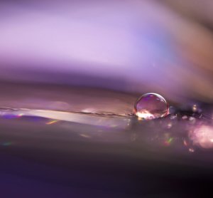 love water bubble purple
